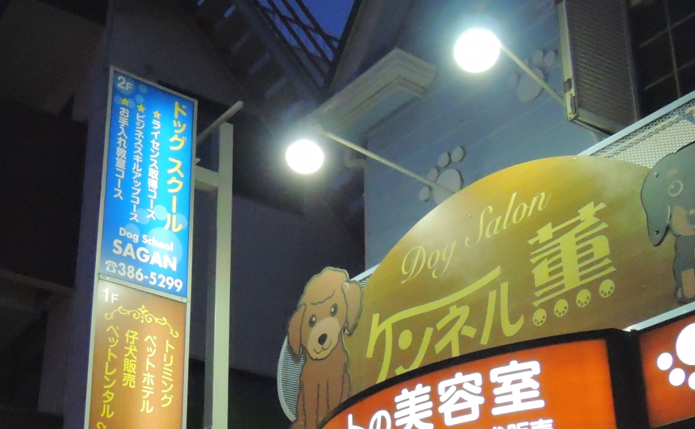 プロフェッショナルグルマーズスクールサガン