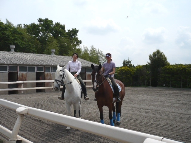 四街道グリーンヒル乗馬クラブ_1