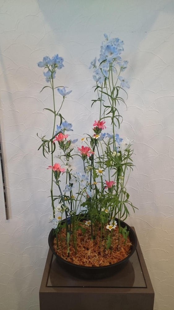 Mデザイン shop and school_282