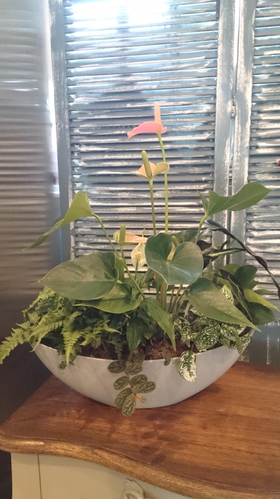 Mデザイン shop and school_21