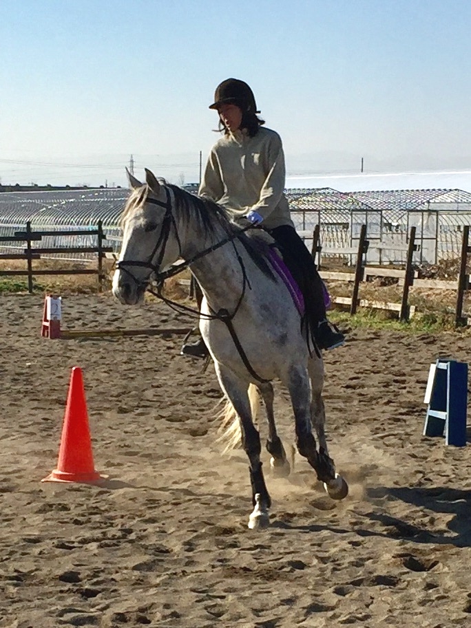 モビーディック乗馬クラブ_2