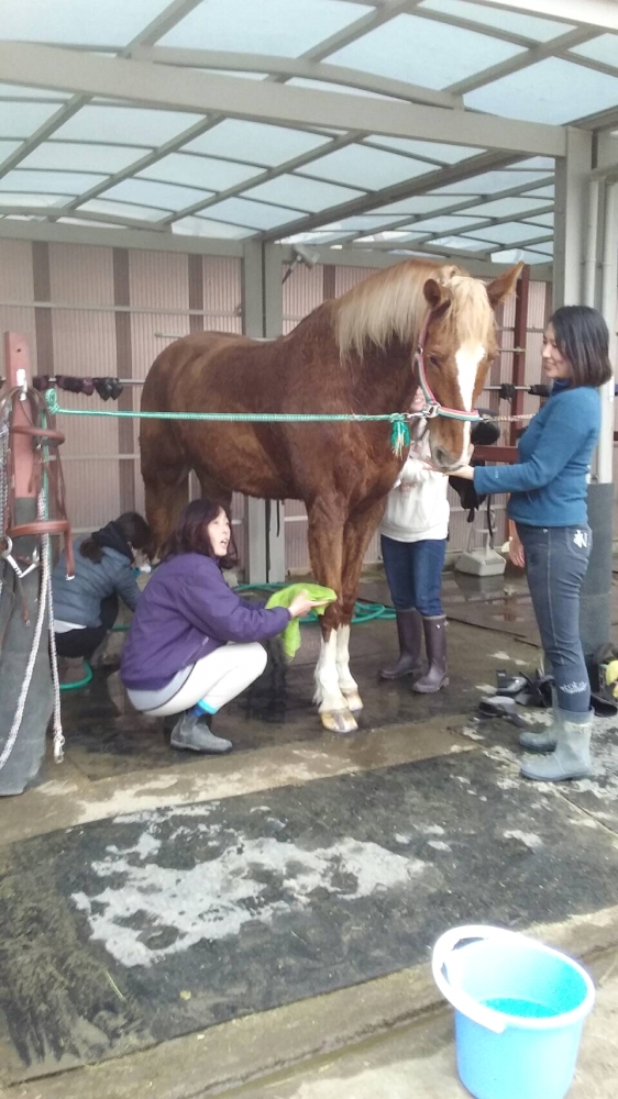 モビーディック乗馬クラブ_7