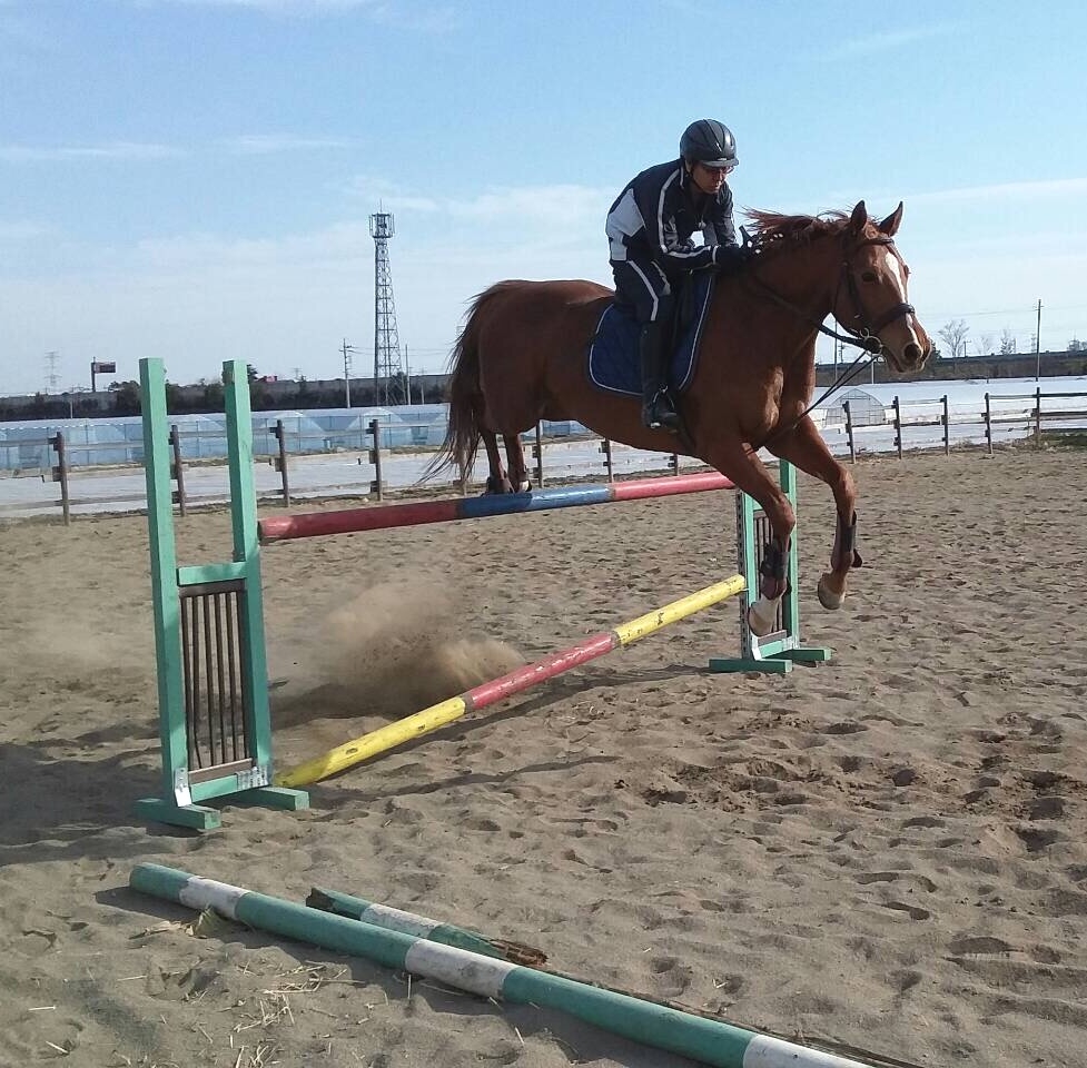 モビーディック乗馬クラブ_4