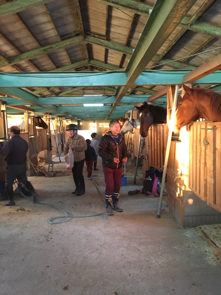 モビーディック乗馬クラブ_1