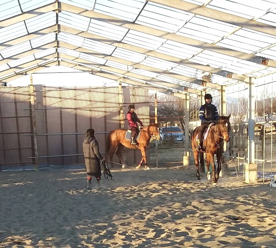 モビーディック乗馬クラブ_6
