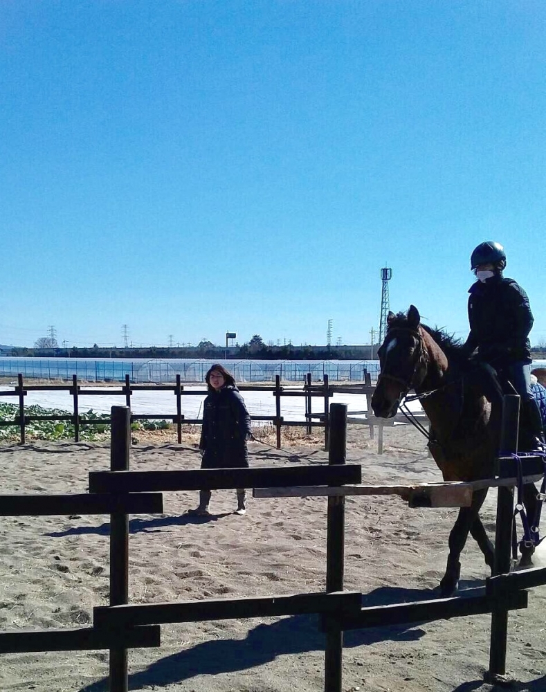 モビーディック乗馬クラブ_3
