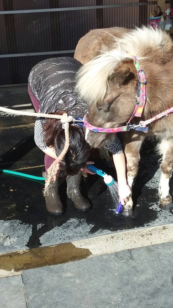 モビーディック乗馬クラブ_8