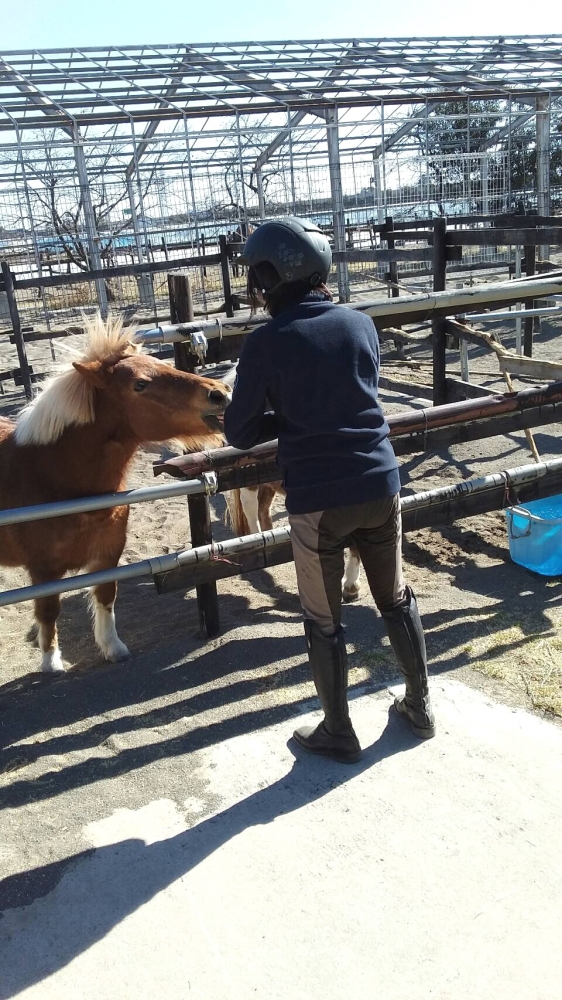 モビーディック乗馬クラブ_10