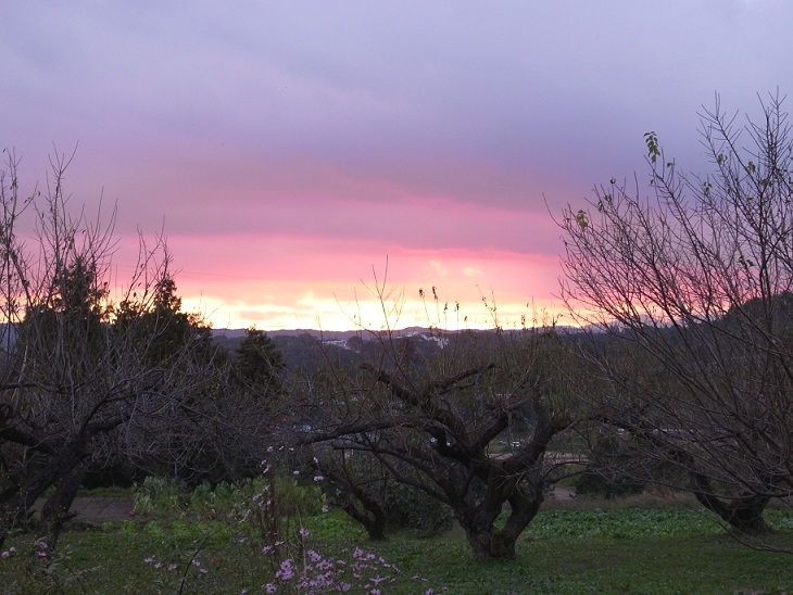 ピアノ教室「高崎の森」はるな教室_1