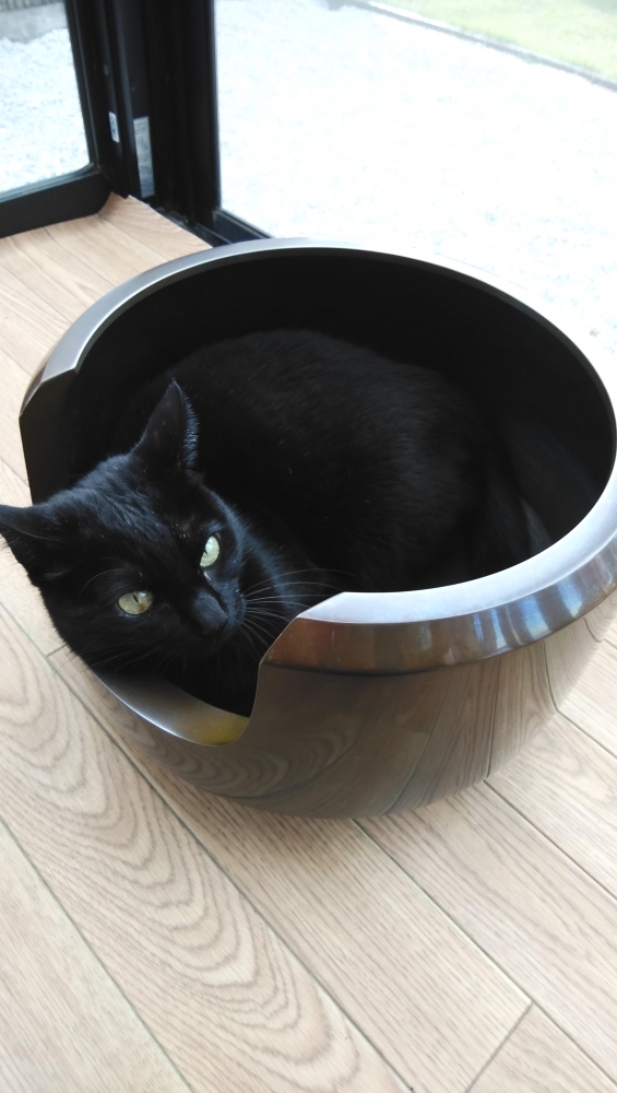 千木良茶道教室_1