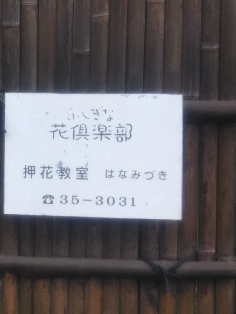 手作りサロンはなみずき中藤_1