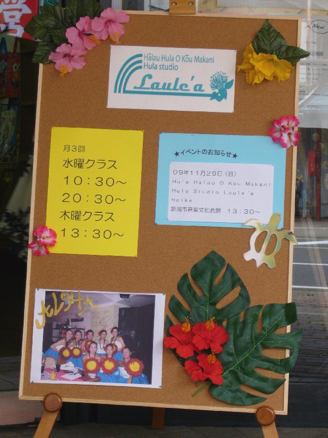 長岡市のフラスタジオラウレア_1