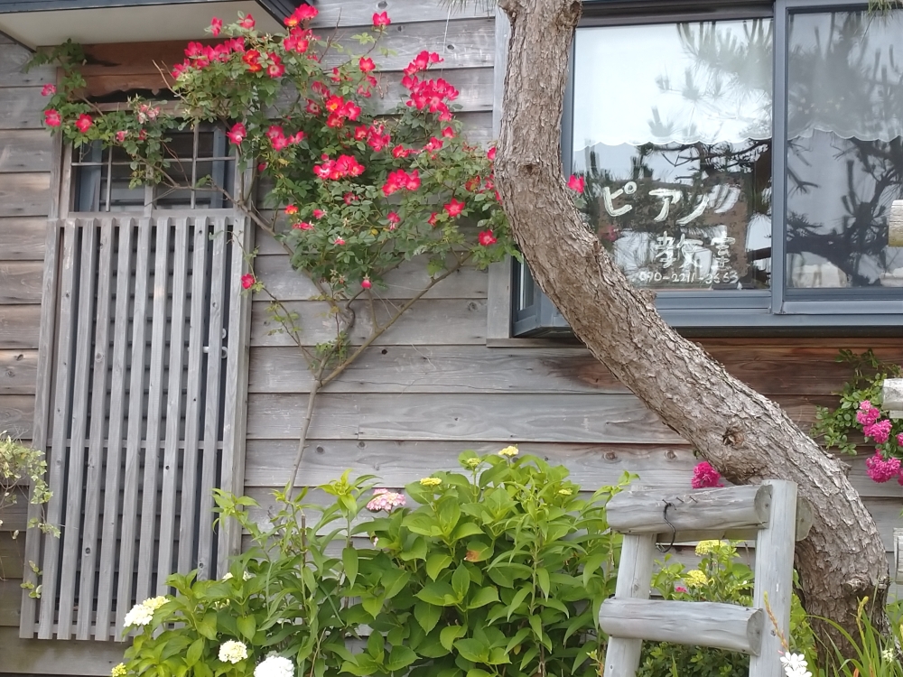 Fairy′s stairs 阿部ピアノ教室_3