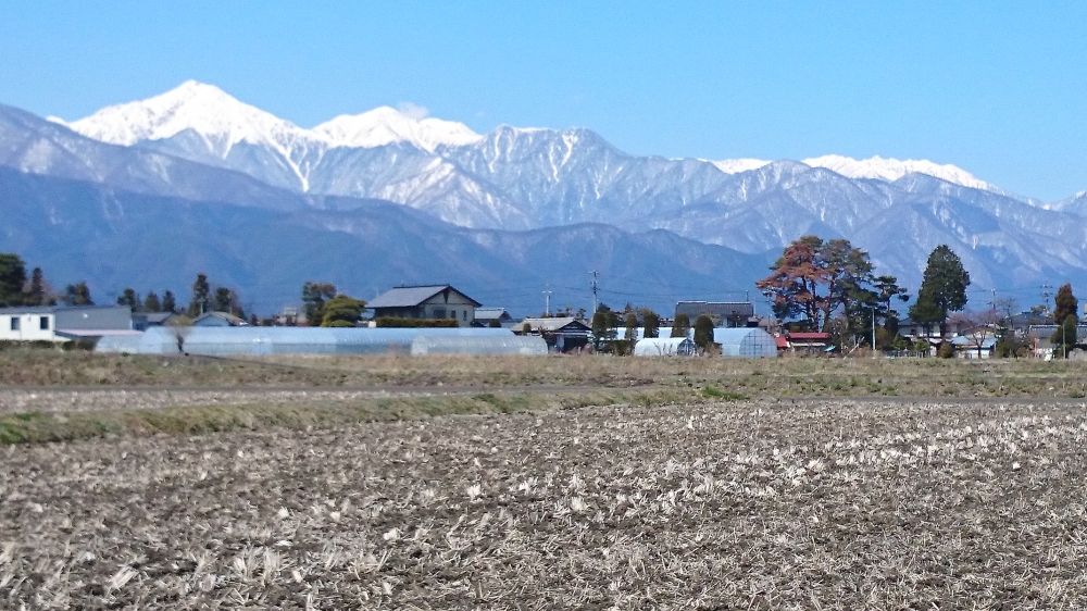 【有限会社ツツミ宅建事務所】_9