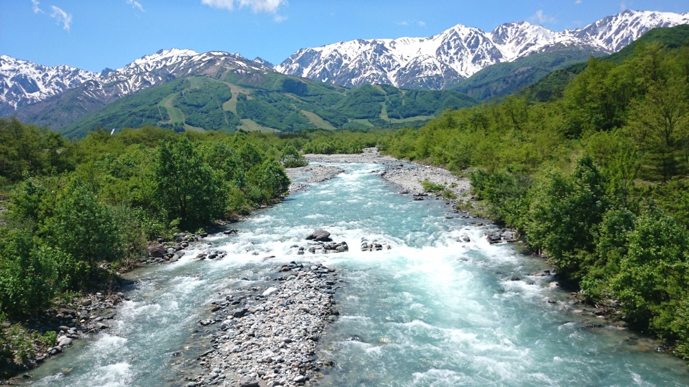 【有限会社ツツミ宅建事務所】_2