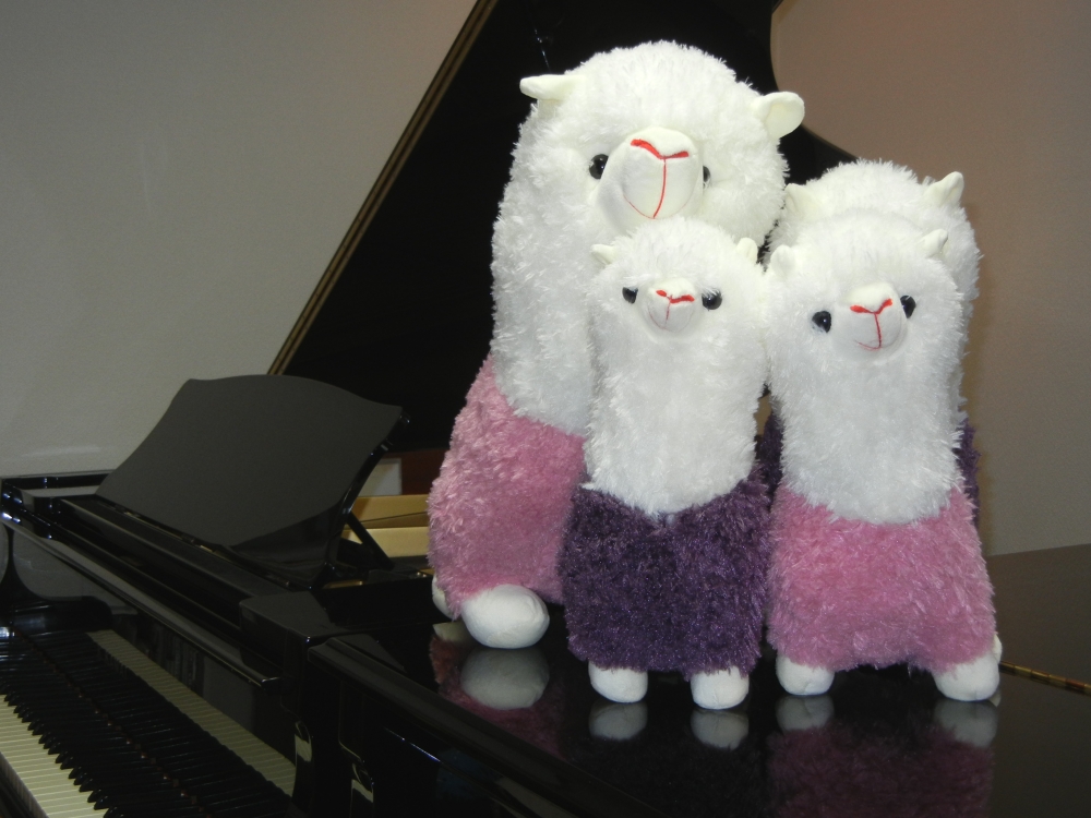 アルパカ音楽教室