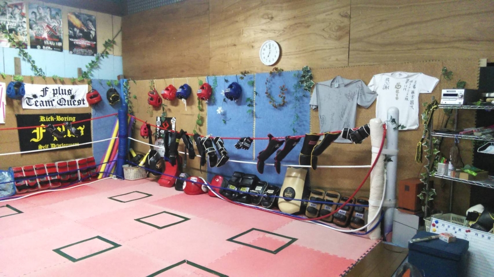 fitness kickboxing fplus _1