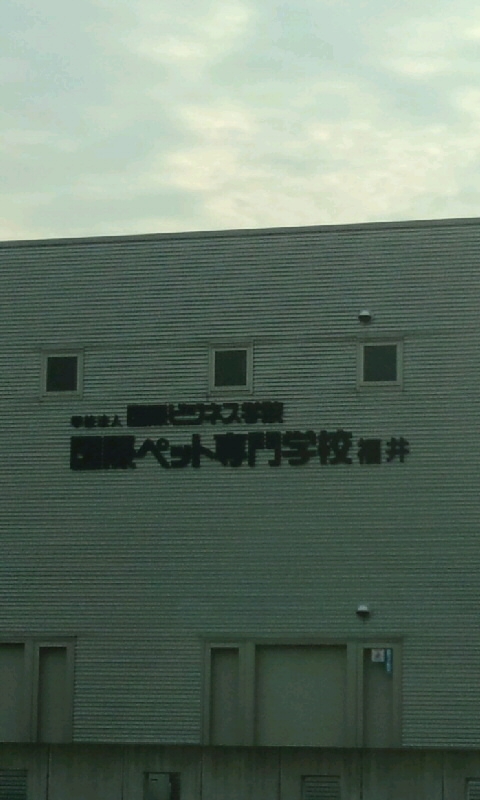 国際ペット専門学校福井
