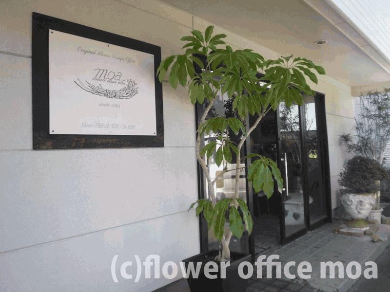 フラワーオフィスmoa_4