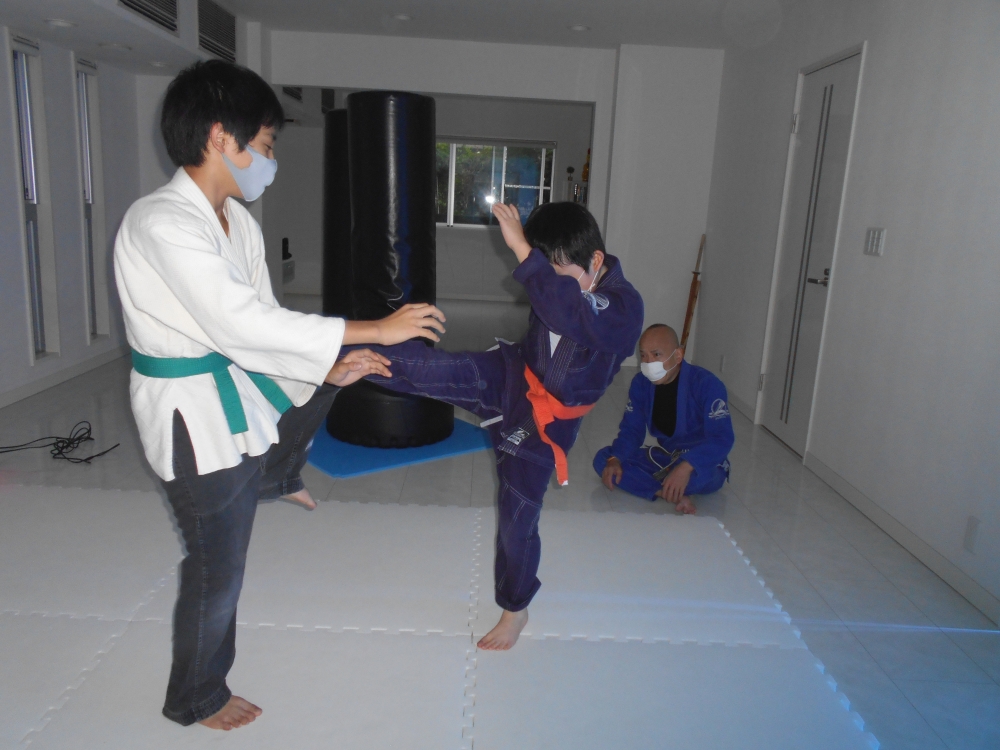 日本伝円真流空手_2