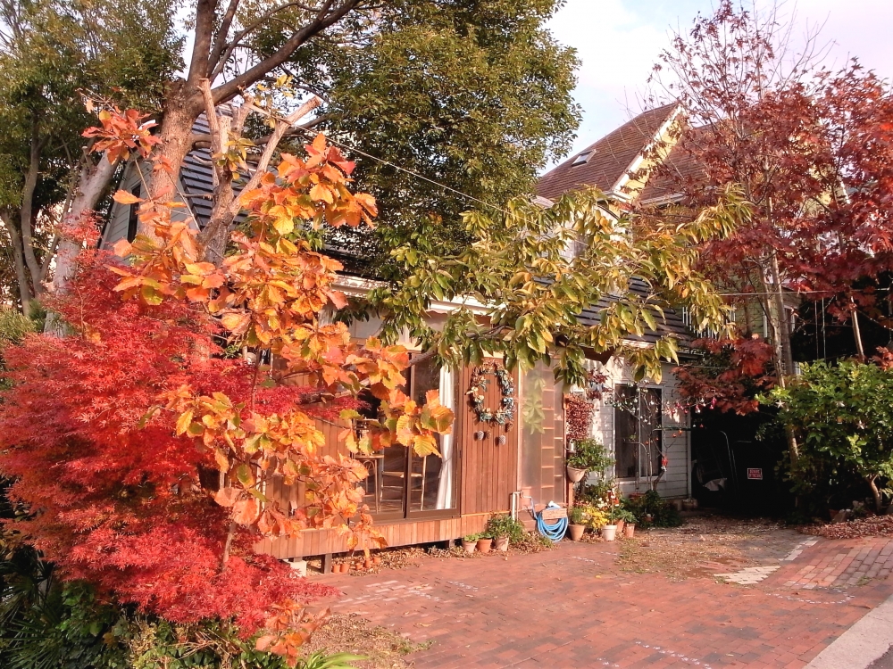 こども造形教室ダ・ヴィンチ　ガオー教室