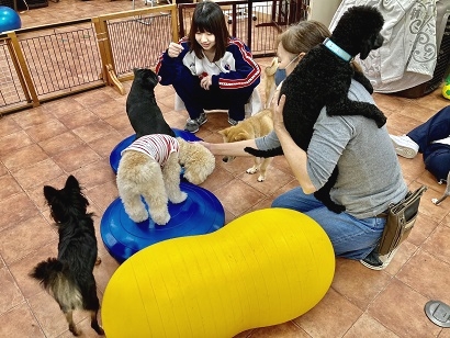 日本ウェルネス高等学校（名古屋キャンパス）