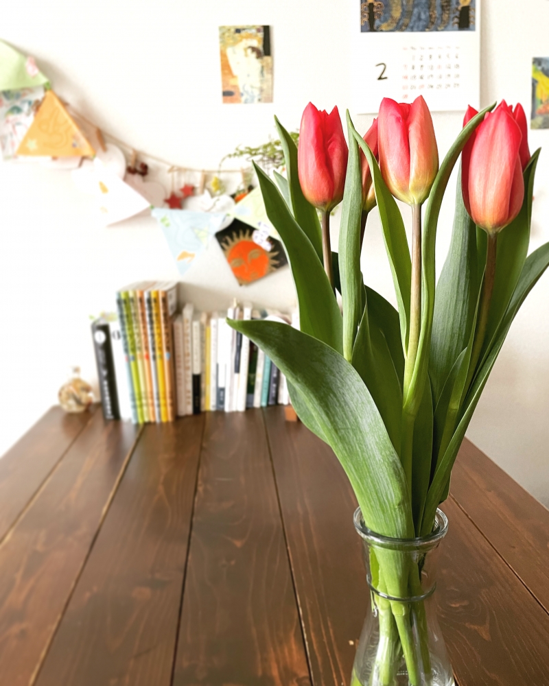 アトリエ MACOYA_4