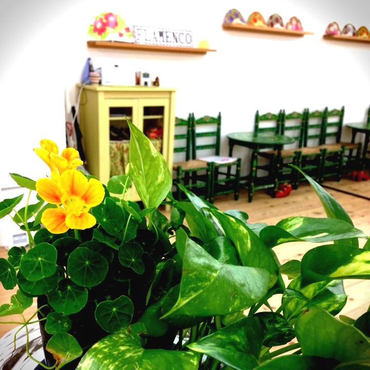 東みさをフラメンコスタジオシバシ（ＣＩＢＡＹＩ）