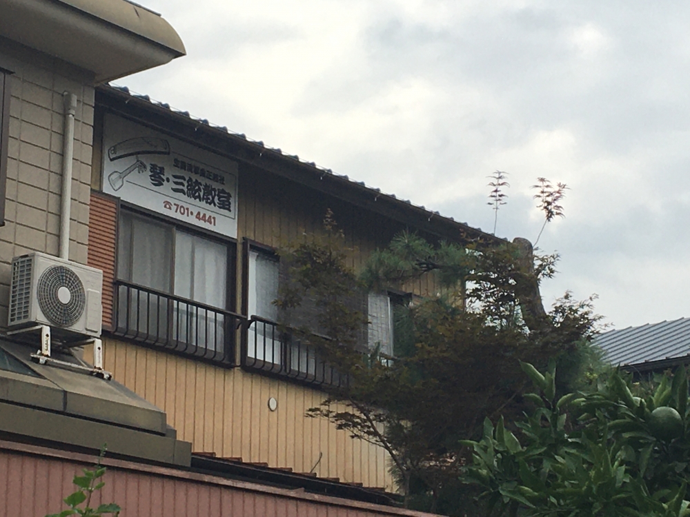 野崎緑 琴三絃教室_2