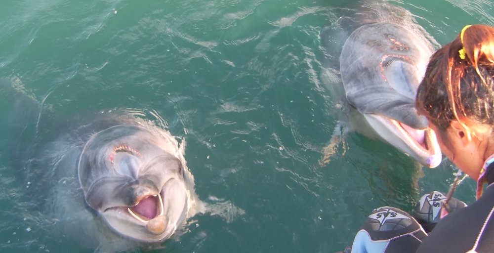 ファンキーダイビングワールドポパイズハウス_24