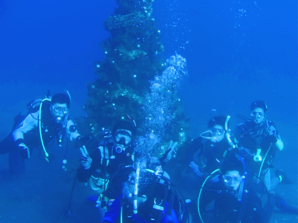 ファンキーダイビングワールドポパイズハウス_10