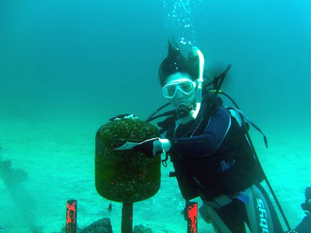 ファンキーダイビングワールドポパイズハウス_12