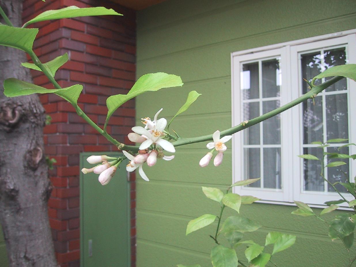 みのり音楽教室_2