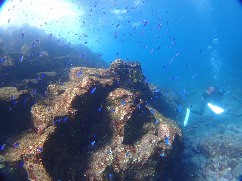 DIVING GUIDE YAMAGUCHI_3