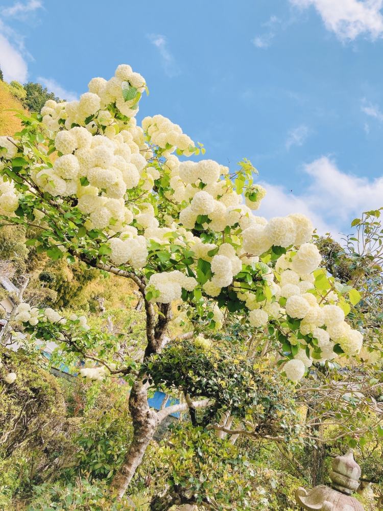 ゆみ先生のピアノ・おんぷ教室_5