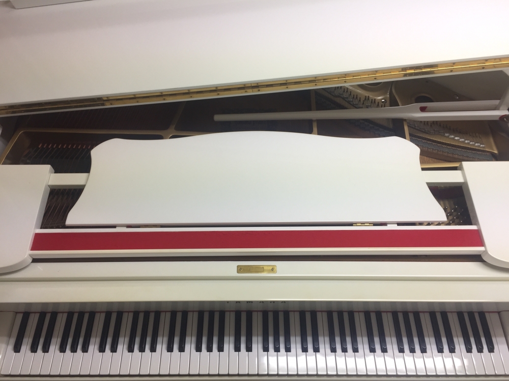 駿府の森ブラス_4