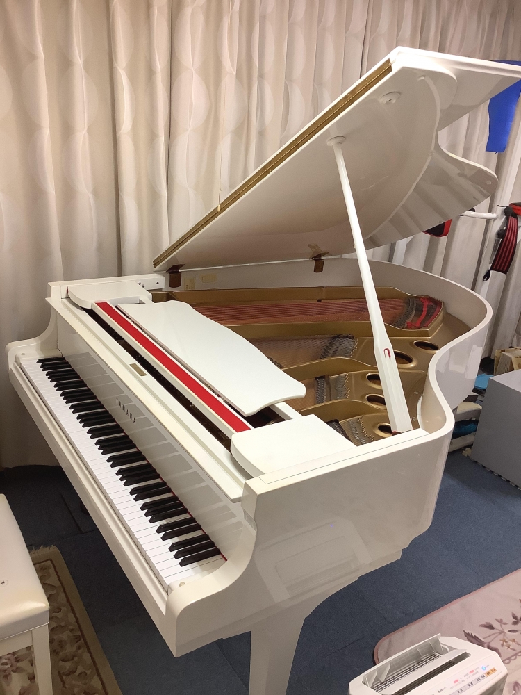 駿府の森ブラス