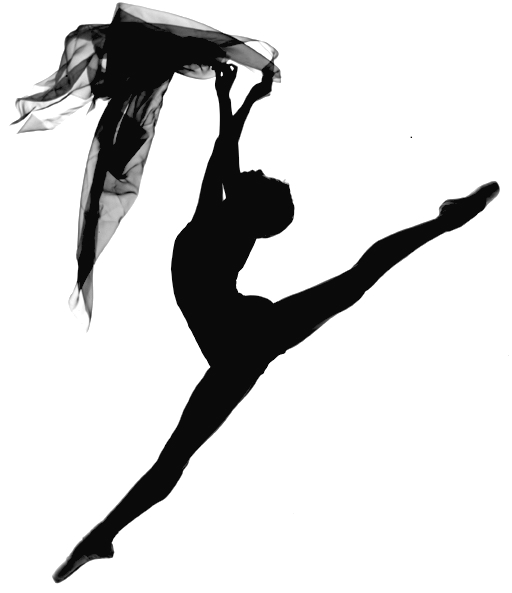 Ballet of America バレエ オブ アメリカ