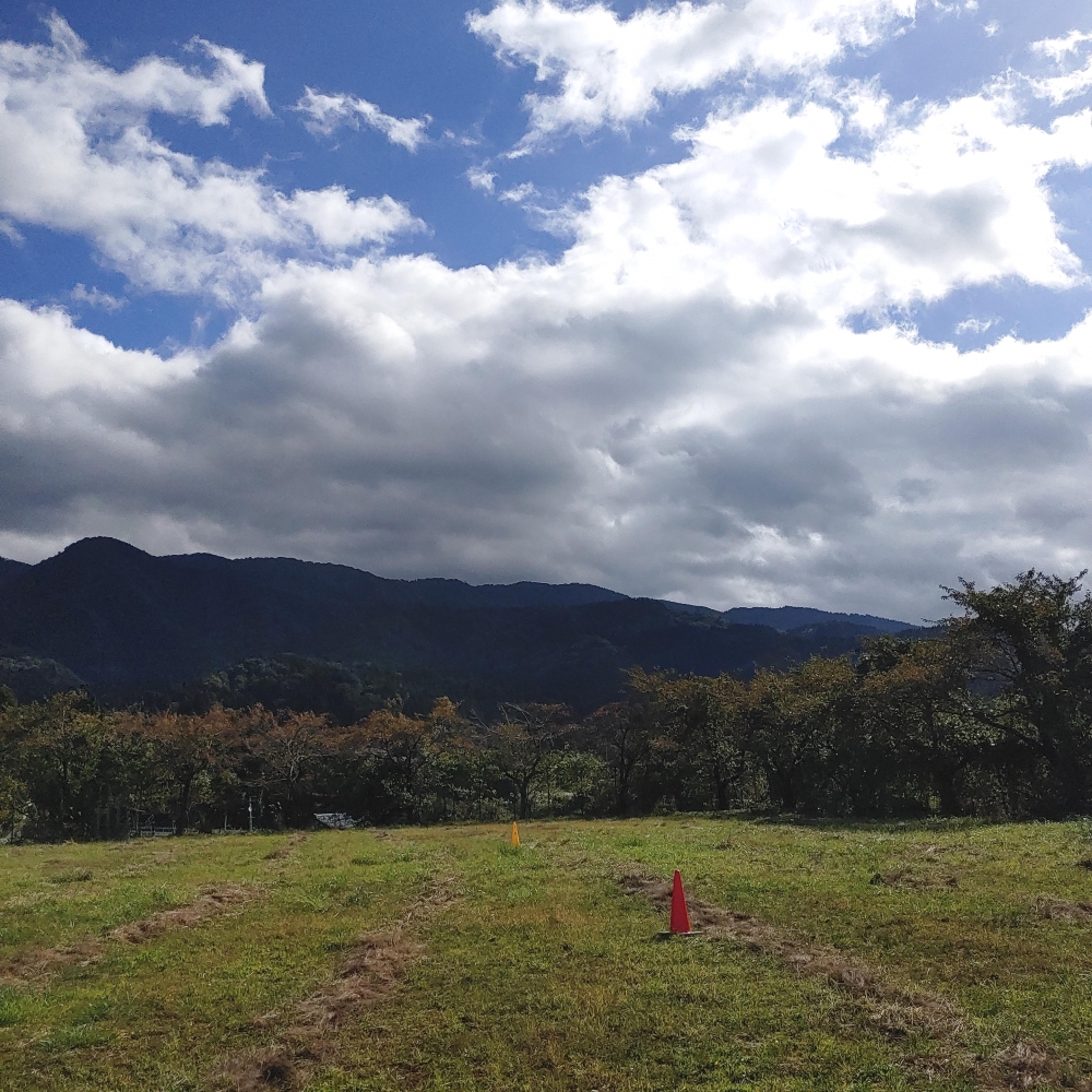 株式会社大阪グリーンサポート_3