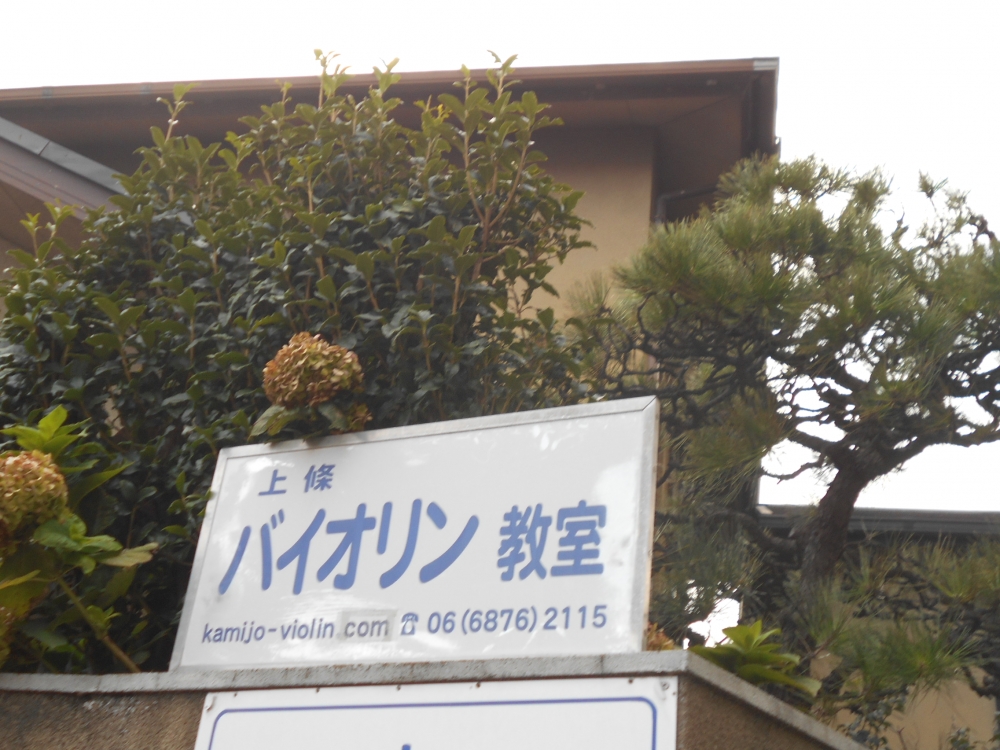 上條尚人バイオリン教室