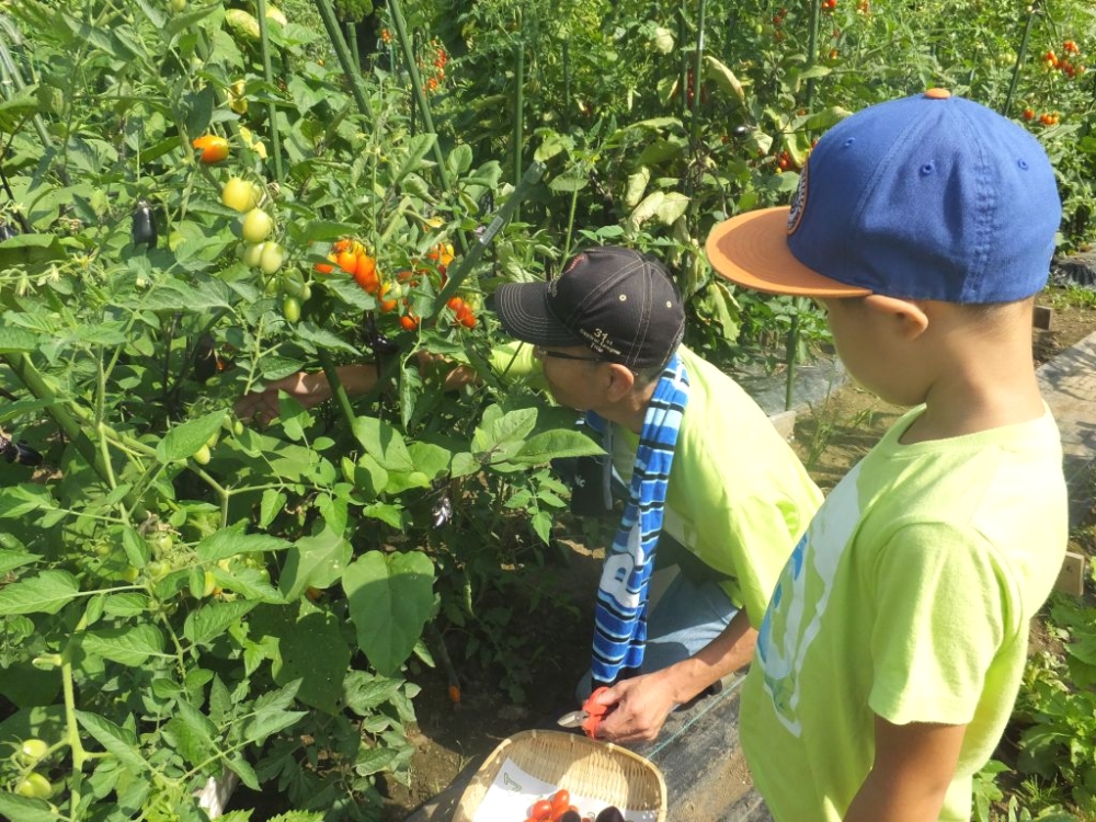 シェア畑　吹田岸辺_1