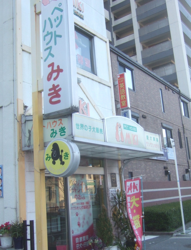 ミキグルーミングスクール_2