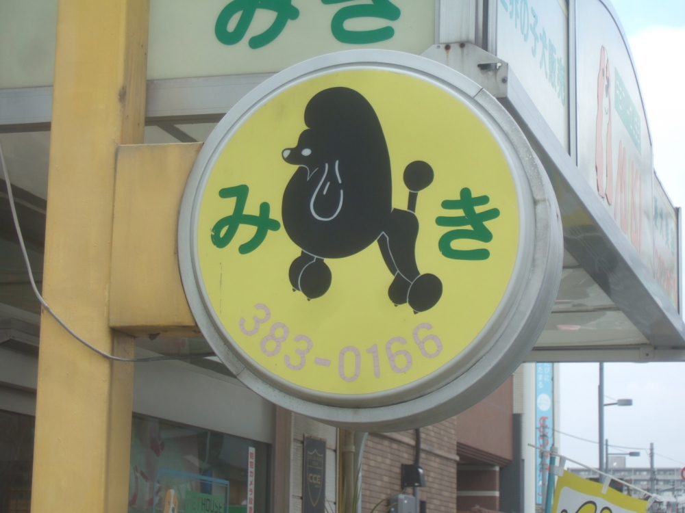 ミキグルーミングスクール_1