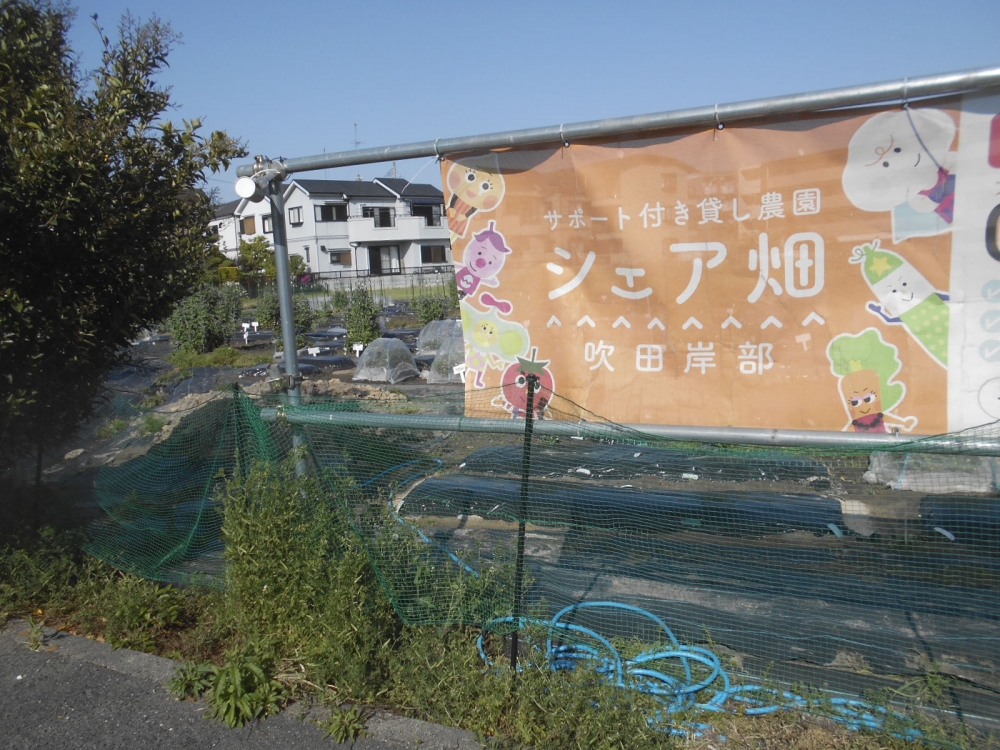 シェア畑 吹田岸部_2