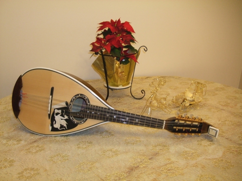 大阪・千里丘マンドリン教室_2