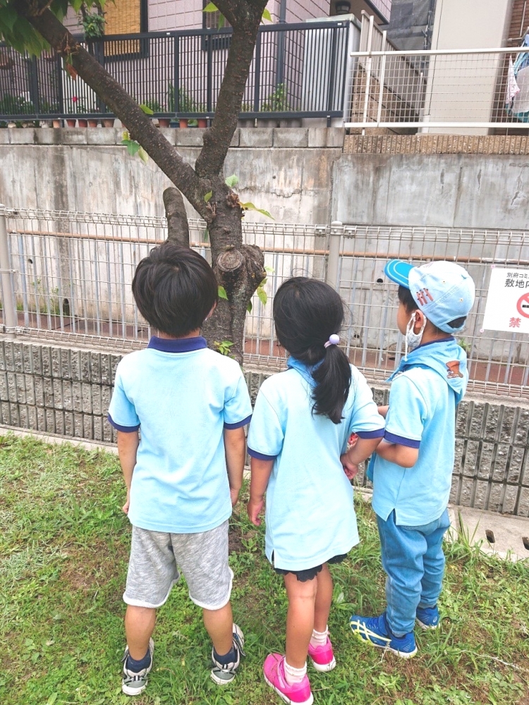 日本ボーイスカウト摂津第３団_3