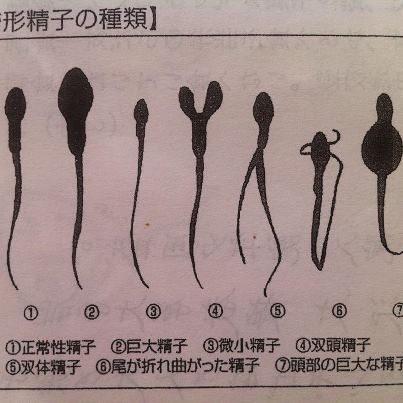 スリーバランスアカデミー_88