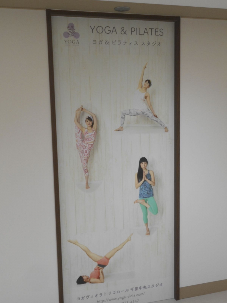 ヨガヴィオラトリコロール