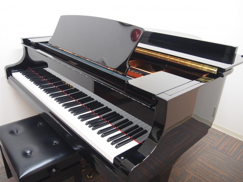 大東楽器（株）寝屋川店_3