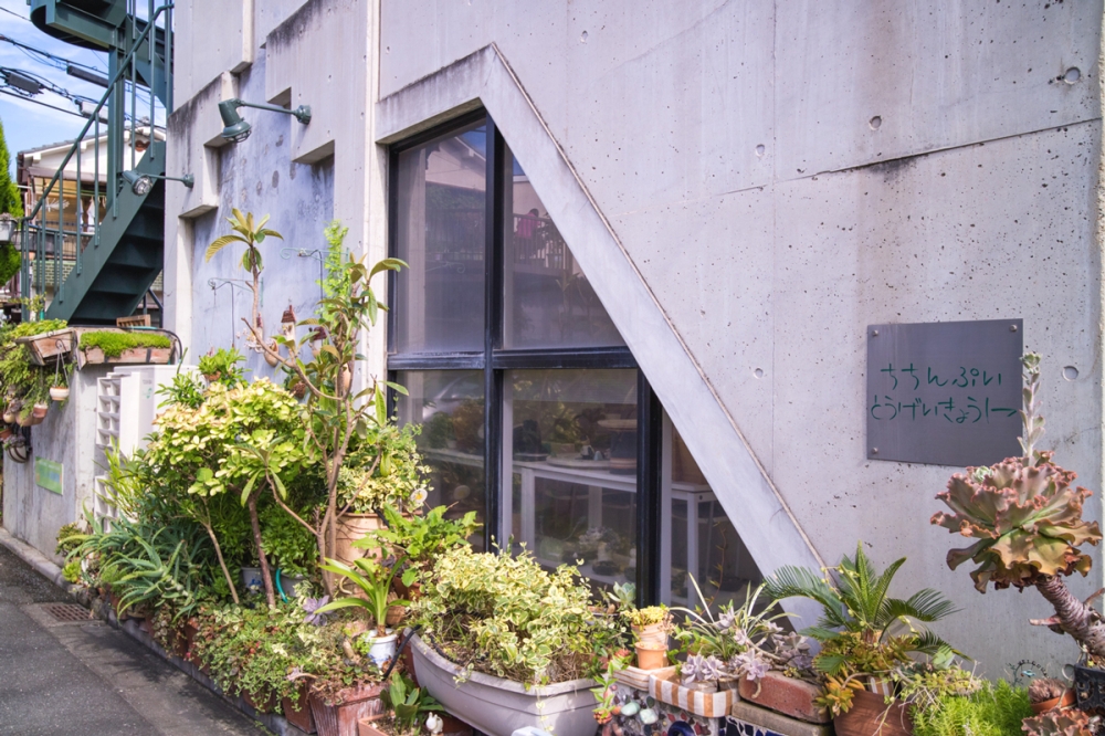 ちちんぷい陶芸教室　東大阪教室_3